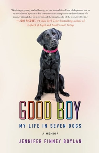 Good Boy, Jennifer Finney Boylan - Ebook - 9781250261861