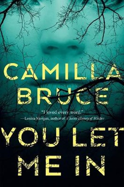 You Let Me In, Camilla Bruce - Paperback - 9781250302069