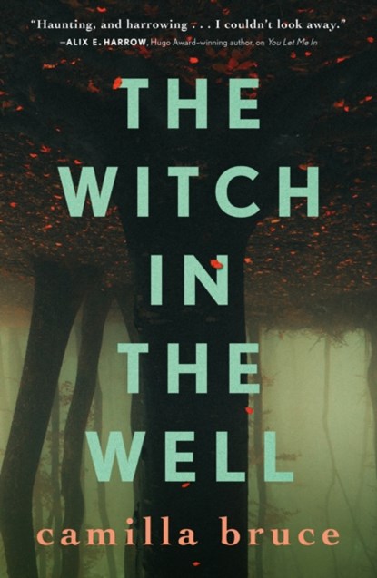 The Witch In The Well, Camilla Bruce - Paperback - 9781250302076