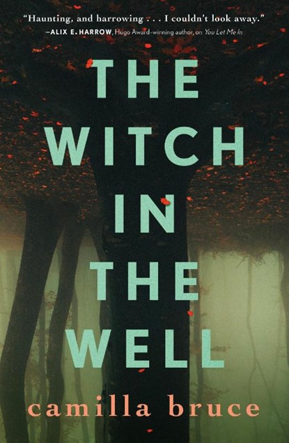 The Witch in the Well, Camilla Bruce - Paperback - 9781250302076