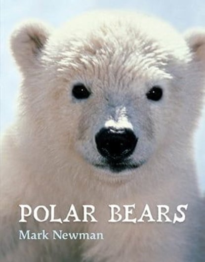 Polar Bears, Mark Newman - Ebook - 9781250309266