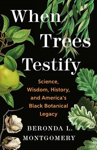 When Trees Testify, Beronda L. Montgomery - Gebonden - 9781250335166