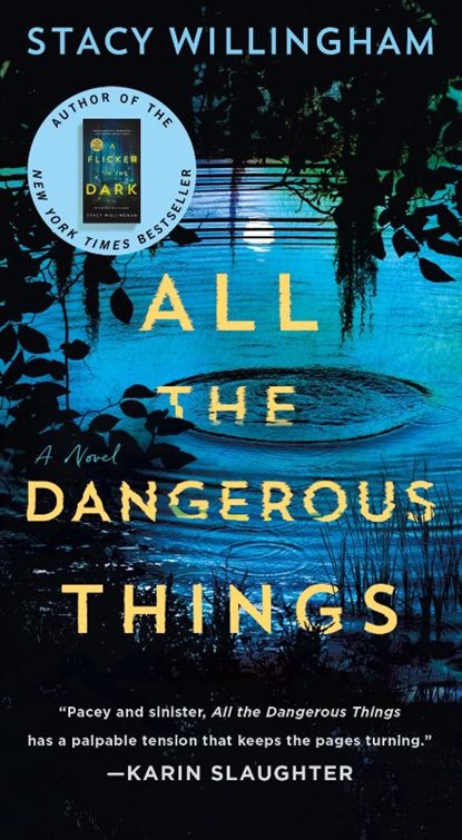All the Dangerous Things, Stacy Willingham - Paperback - 9781250344090