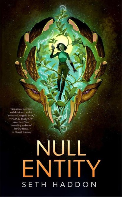 Null Entity, Seth Haddon - Gebonden - 9781250365217