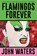 Flamingos Forever, John Waters - Paperback - 9781250371270