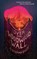 Over the Woodward Wall, A. Deborah Baker - Paperback - 9781250376961