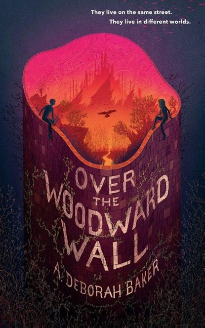 Over the Woodward Wall, A. Deborah Baker - Paperback - 9781250376961