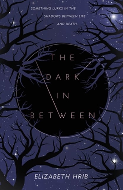 The Dark In-Between, Elizabeth Hrib - Paperback - 9781250419880