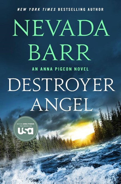 Destroyer Angel, Nevada Barr - Paperback - 9781250422439