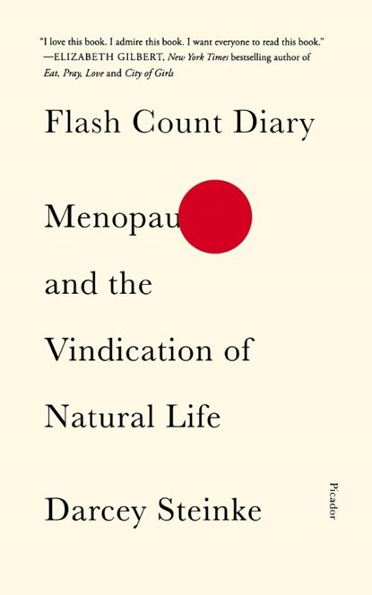 Flash Count Diary, Darcey Steinke - Paperback - 9781250619686