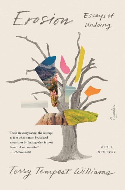 Erosion, Terry Tempest Williams - Paperback - 9781250758248