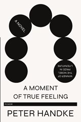 Moment of True Feeling - Peter Handke - 9781250767318