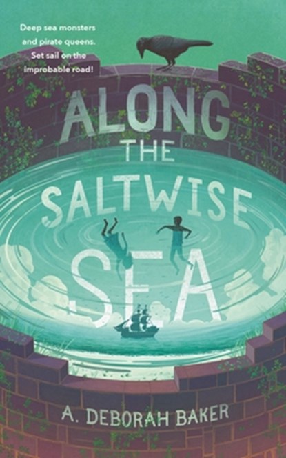 Along the Saltwise Sea, A. Deborah Baker - Gebonden - 9781250768285