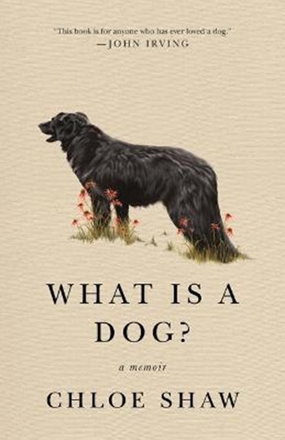 What Is A Dog?, Chloe Shaw - Paperback - 9781250785404