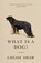 What Is a Dog?, Chloe Shaw - Paperback - 9781250785404