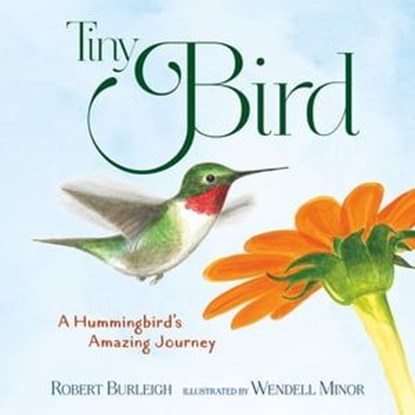 Tiny Bird, Robert Burleigh - Ebook - 9781250785558