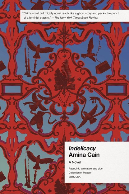 Indelicacy, Amina Cain - Paperback - 9781250785718
