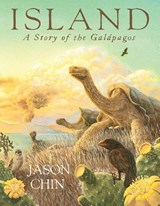 Island - Jason Chin - 9781250799937