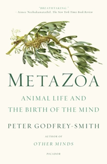 Metazoa, Peter Godfrey-Smith - Paperback - 9781250800268