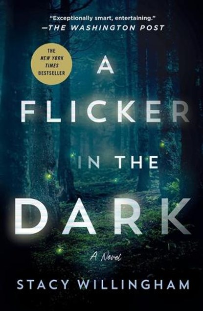 A Flicker in the Dark, Stacy Willingham - Paperback - 9781250803849