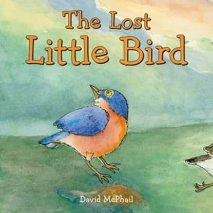 The Lost Little Bird, David McPhail - Ebook - 9781250830364
