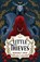 Little Thieves, Margaret Owen - Paperback - 9781250853530