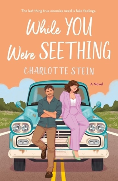 While You Were Seething, Charlotte Stein - Paperback - 9781250867995