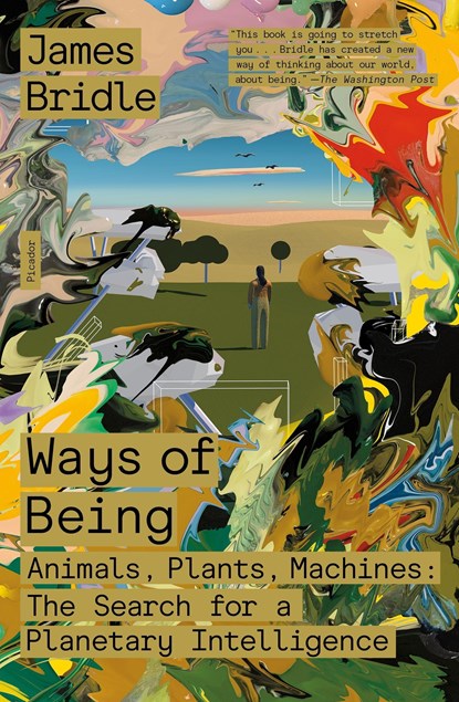 Ways of Being, James Bridle - Paperback - 9781250872968