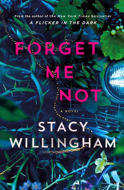 Forget Me Not, Stacy Willingham - Paperback - 9781250887993