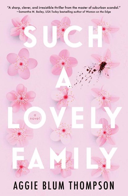Such a Lovely Family, Aggie Blum Thompson - Paperback - 9781250891990