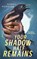 Your Shadow Half Remains, Sunny Moraine - Paperback - 9781250892201