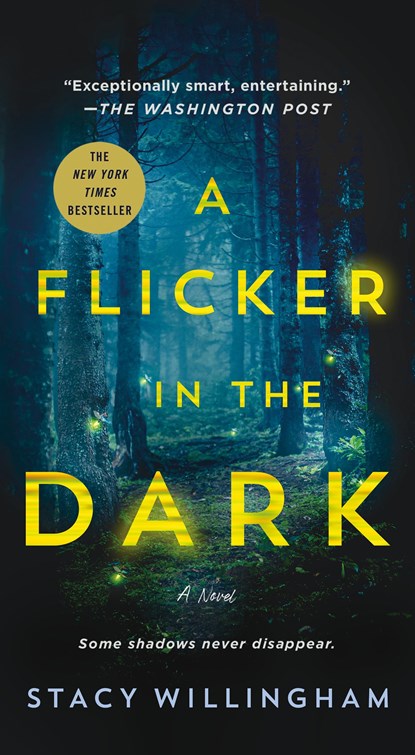 A Flicker in the Dark, Stacy Willingham - Paperback - 9781250896445