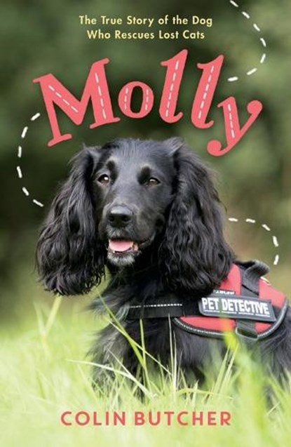 Molly: The True Story of the Dog Who Rescues Lost Cats, Colin Butcher - Paperback - 9781250903907