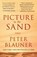 Picture in the Sand, Peter Blauner - Paperback - 9781250904133