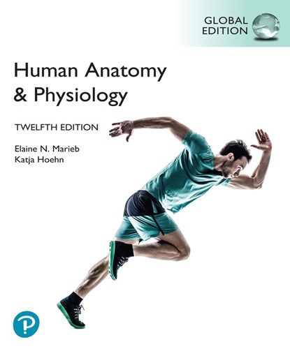 Human Anatomy & Physiology, Global Edition, MARIEB,  Elaine ; Hoehn, Katja - Paperback - 9781292421803