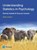 Understanding Statistics in Psychology, Dennis Howitt ; Duncan Cramer - Paperback - 9781292465180