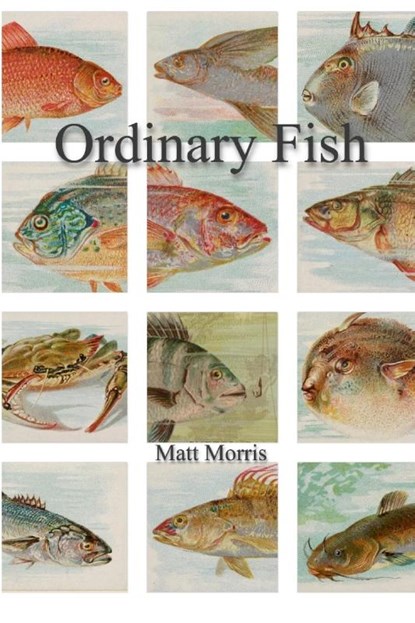 Ordinary Fish/Watt Worris, Matt Morris - Paperback - 9781300433002