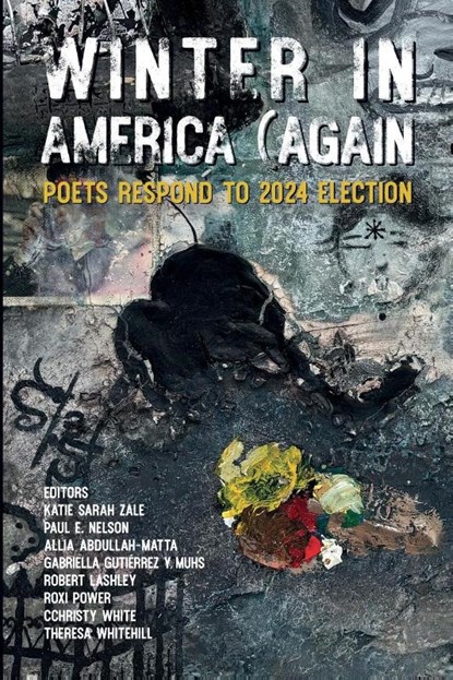 Winter in America (Again, Katie Sarah Zale ; Paul E. Nelson - Paperback - 9781300704416