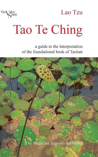 Tao Te Ching: a Guide to the Interpretation of the Foundational Book of Taoism, Shantena Augusto Sabbadini - Gebonden - 9781300731443