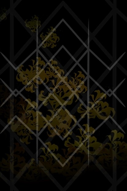 ᚱᚢᚾᛖᛋ? Runes.: Author Liagis Margfirar, Edited by Laurie Asra Sottilaro, Foreword by Travis Wells, Laurie Asra Sottilaro - Paperback - 9781300963103