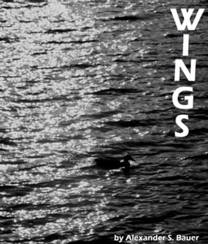 Wings, Alexander S. Bauer - Ebook - 9781301095094