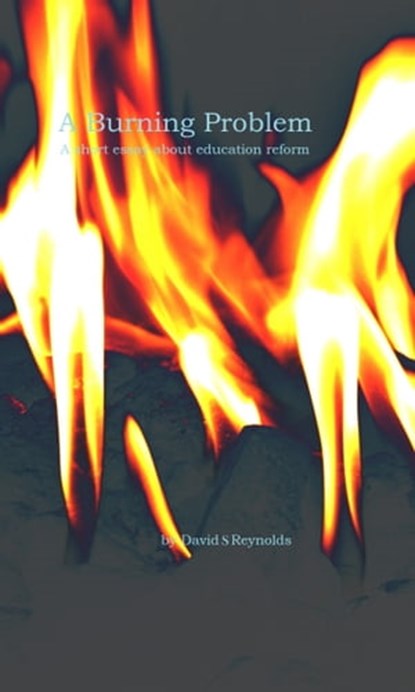 A Burning Problem, David S Reynolds - Ebook - 9781301156573