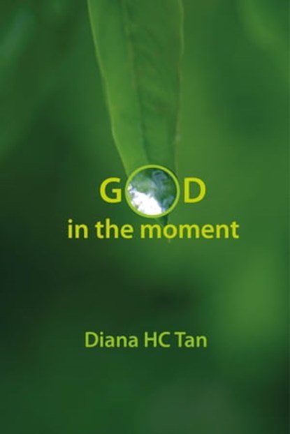 God in the Moment, Diana HC Tan - Ebook - 9781301231805