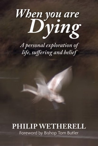 When You Are Dying: A Personal Exploration of Life, Suffering, and Belief, Philip Wetherell - Ebook - 9781301404001