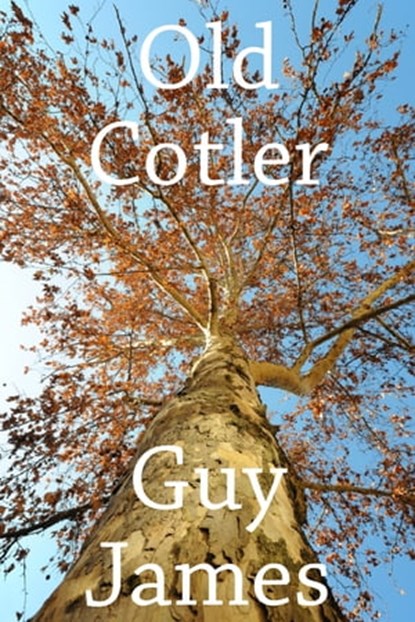 Old Cotler: A Short Thriller, Guy James - Ebook - 9781301467549