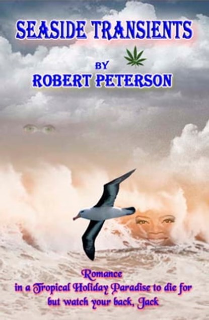 Seaside Transients, Robert Peterson - Ebook - 9781301480005