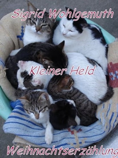 Kleiner Held, Sigrid Wohlgemuth - Ebook - 9781301571222