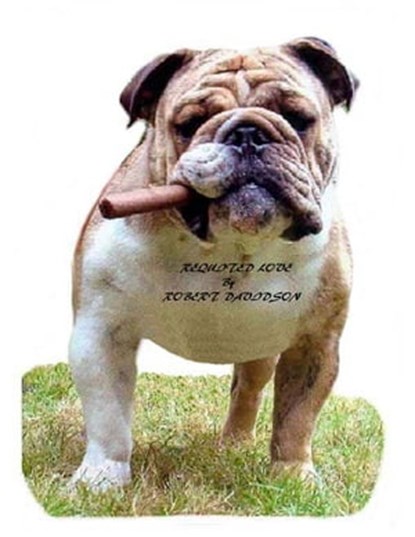 Requited Love, Robert Davidson - Ebook - 9781301650712