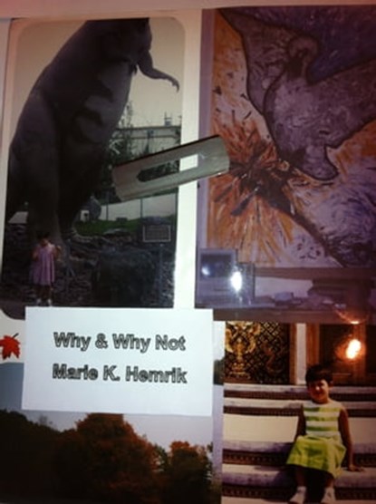 Why & Why Not, Marie K. Hemrik - Ebook - 9781301709892