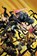 X-Force By Benjamin Percy Vol. 5, Benjamin Percy - Paperback - 9781302932664